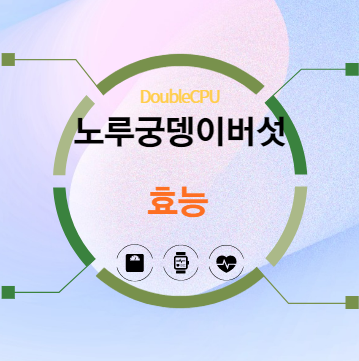 노루궁뎅이버섯 효능 탐구