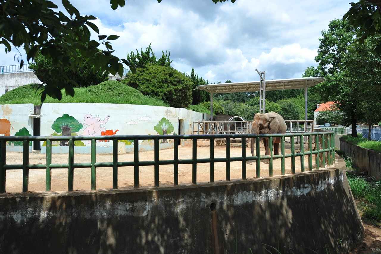 전주동물원