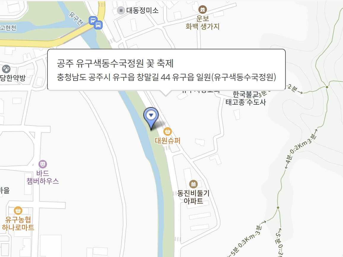 공주 유구 색동수국정원 꽃축제