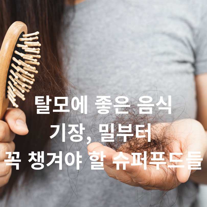 탈모에 좋은 음식 총정리!