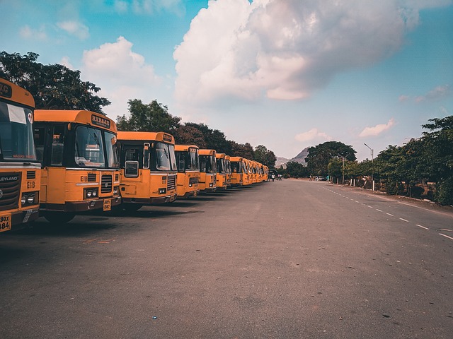 울산 고속버스터미널 주변 정보