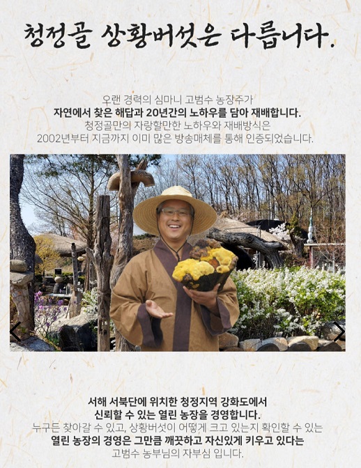 동네한바퀴-상황버섯-고범수-