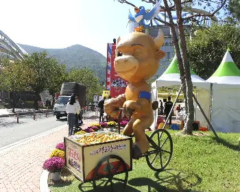 청도 반시축제_4