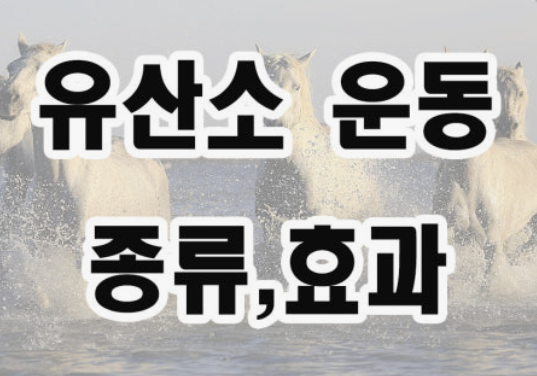 유산소 운동 효과 - 내 몸에 일어나는 변화