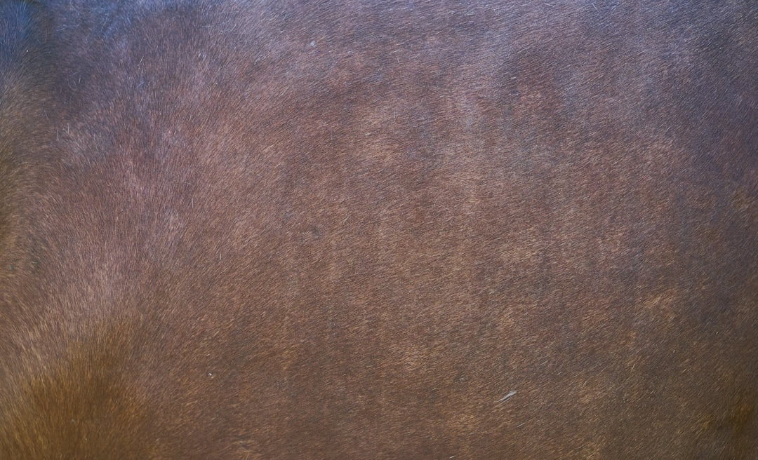 Skin.