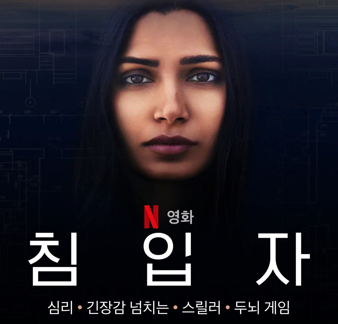 침입자