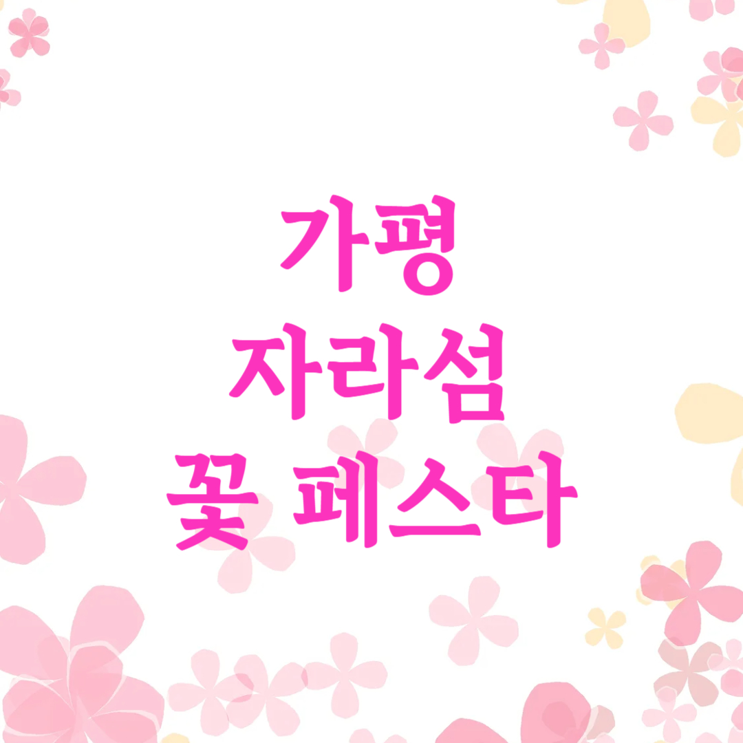 가평 자라섬 꽃축제 꽃 페스타