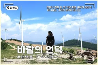 태백 가볼만한곳 추천 카페 맛집 가을 BEST 10_2