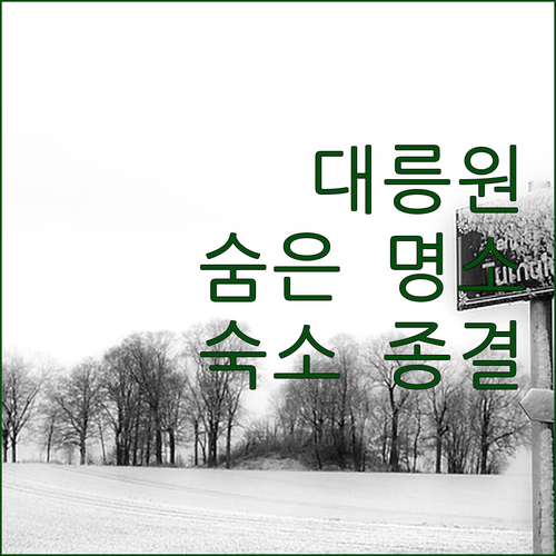 경주 랜드마크 대릉원과 숨은 명소 두..