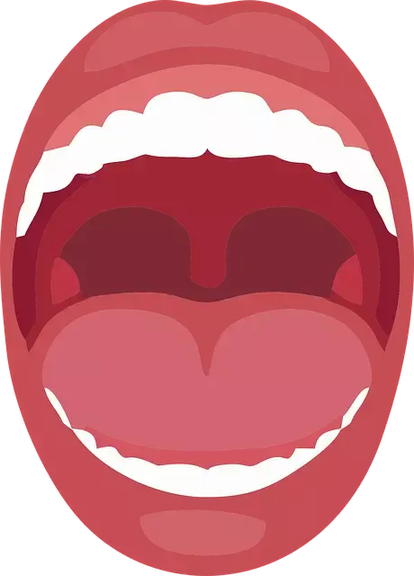 편도 결석 빼는 법