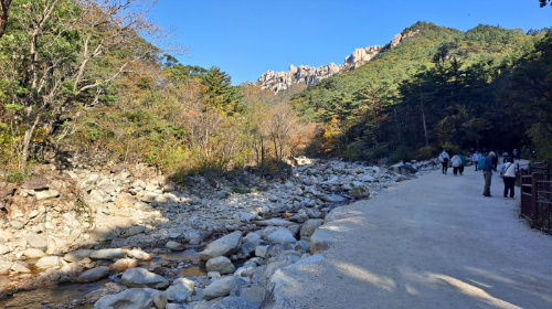 설악산_단풍여행_총정리