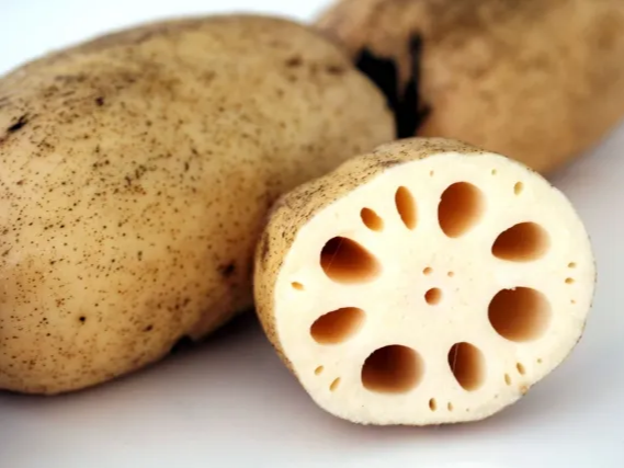 영양소가 풍부한 연근