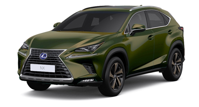 NX300h 색상코드 - TERRANE KHAKI MICA METALIC(색상코드 : 6X4)