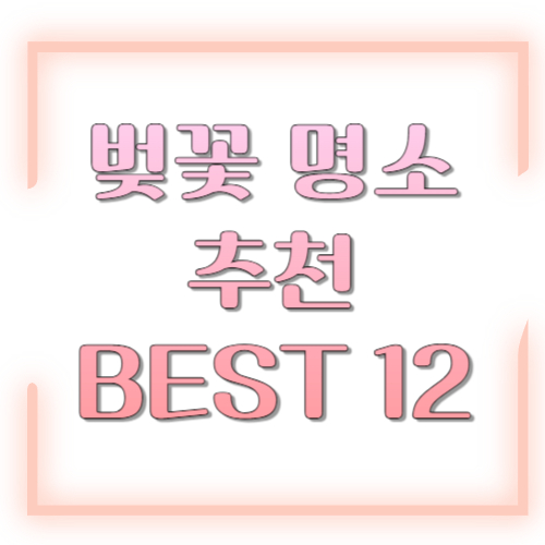 벚꽃 명소 추천 BEST 12: 서울·진해·경주·제주까지 “실패 없는” 봄 여행 코스