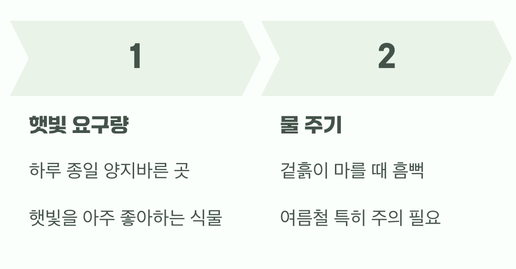 햇볕은 보약, 물은 친구