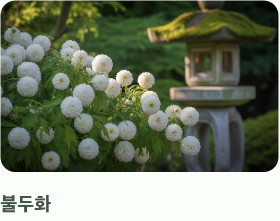 우리 집 정원에는 어떤 나무가 좋을까?