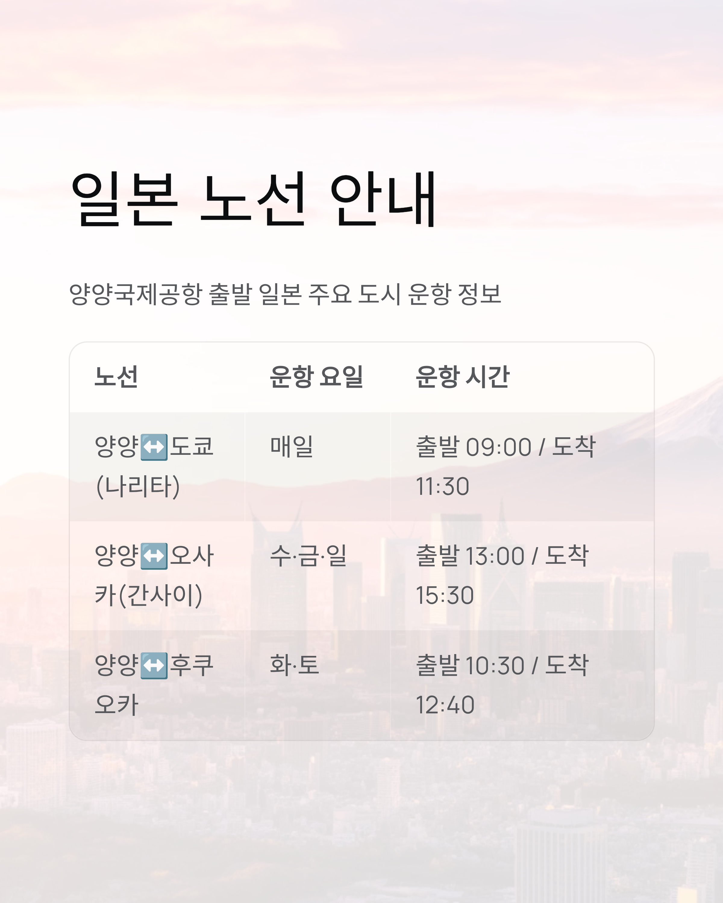 파라타항공 예약부터 일본 노선 후기까지! 완벽 정리 ✈️