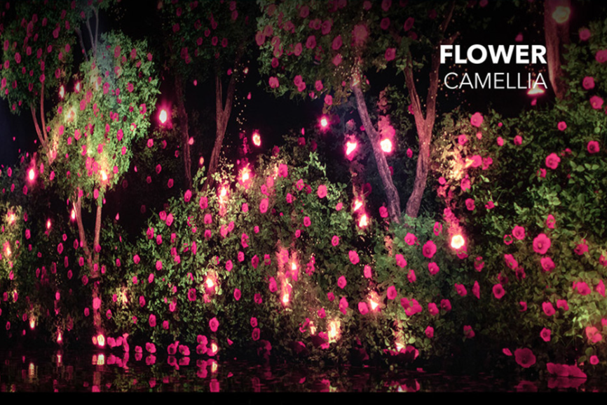 제주 아르떼뮤지엄 입장권 완벽 가이드