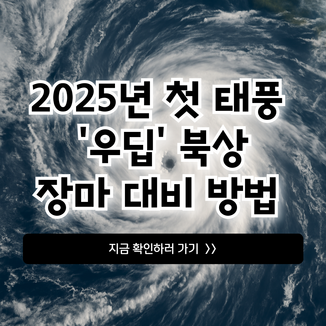 2025년 첫 태풍 우딥
