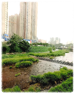 성복천