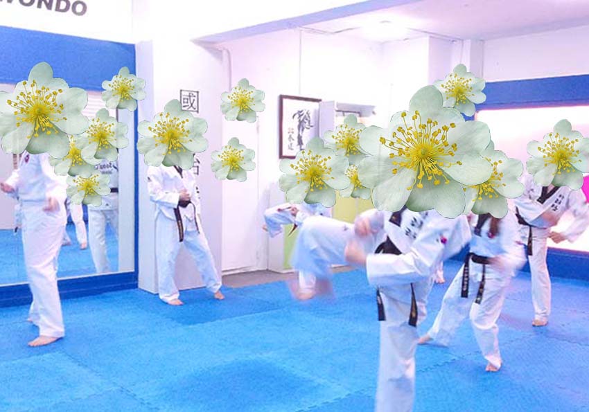꽃보다 태권도, 찔레꽃