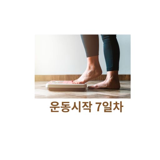 체중감량을 위한 운동 7일차