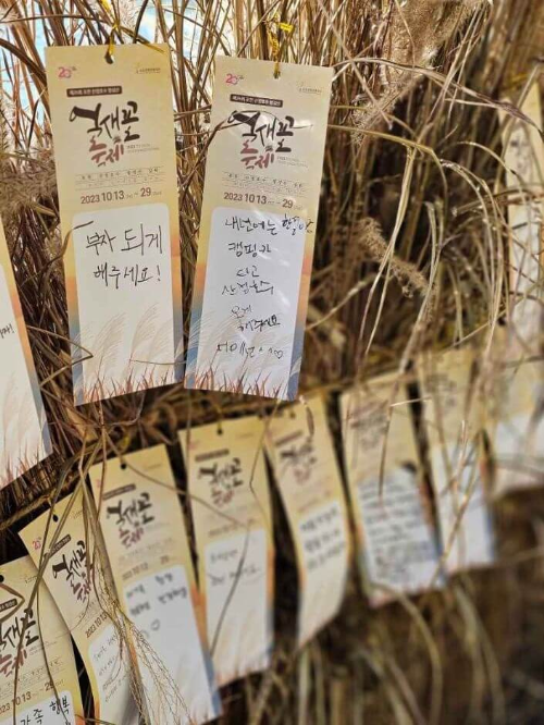 억새꽃-축제-프로그램