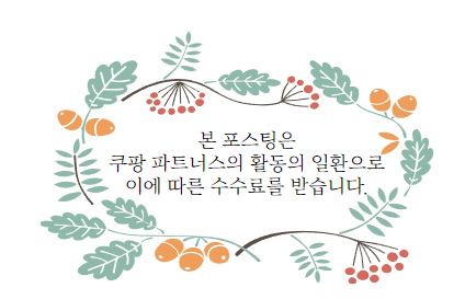 아이콘