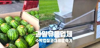 인천 수박껍질 음식물 일반쓰레기 과태료 피하는 법_17