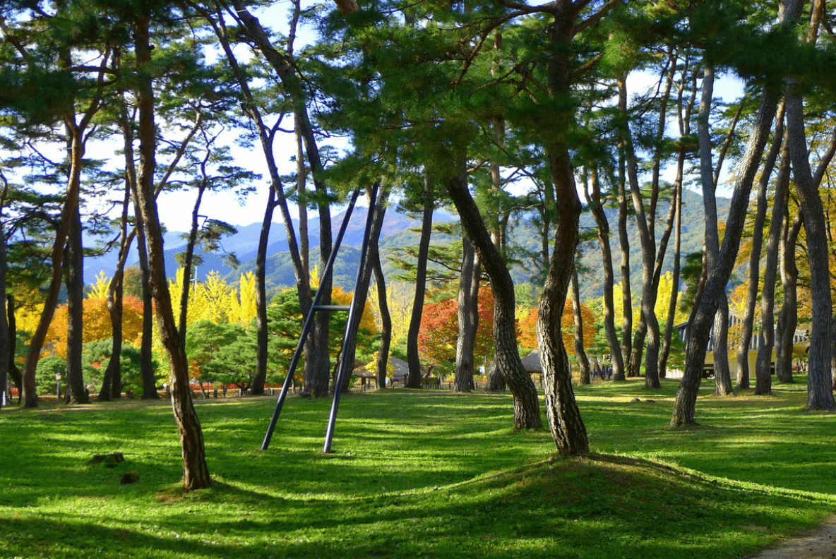 10. 울진 망양정