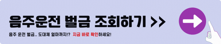 음주운전 벌금 조회