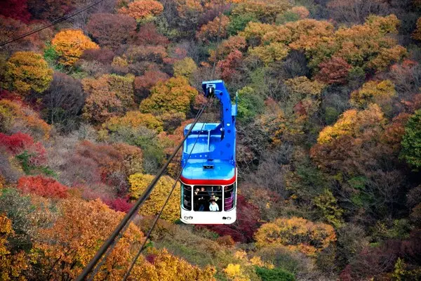 내장산 케이블카 예약 방법3