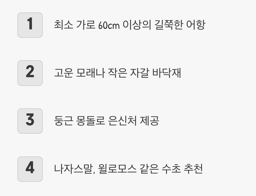 계곡을 담는 어항, 어떻게 꾸밀까?