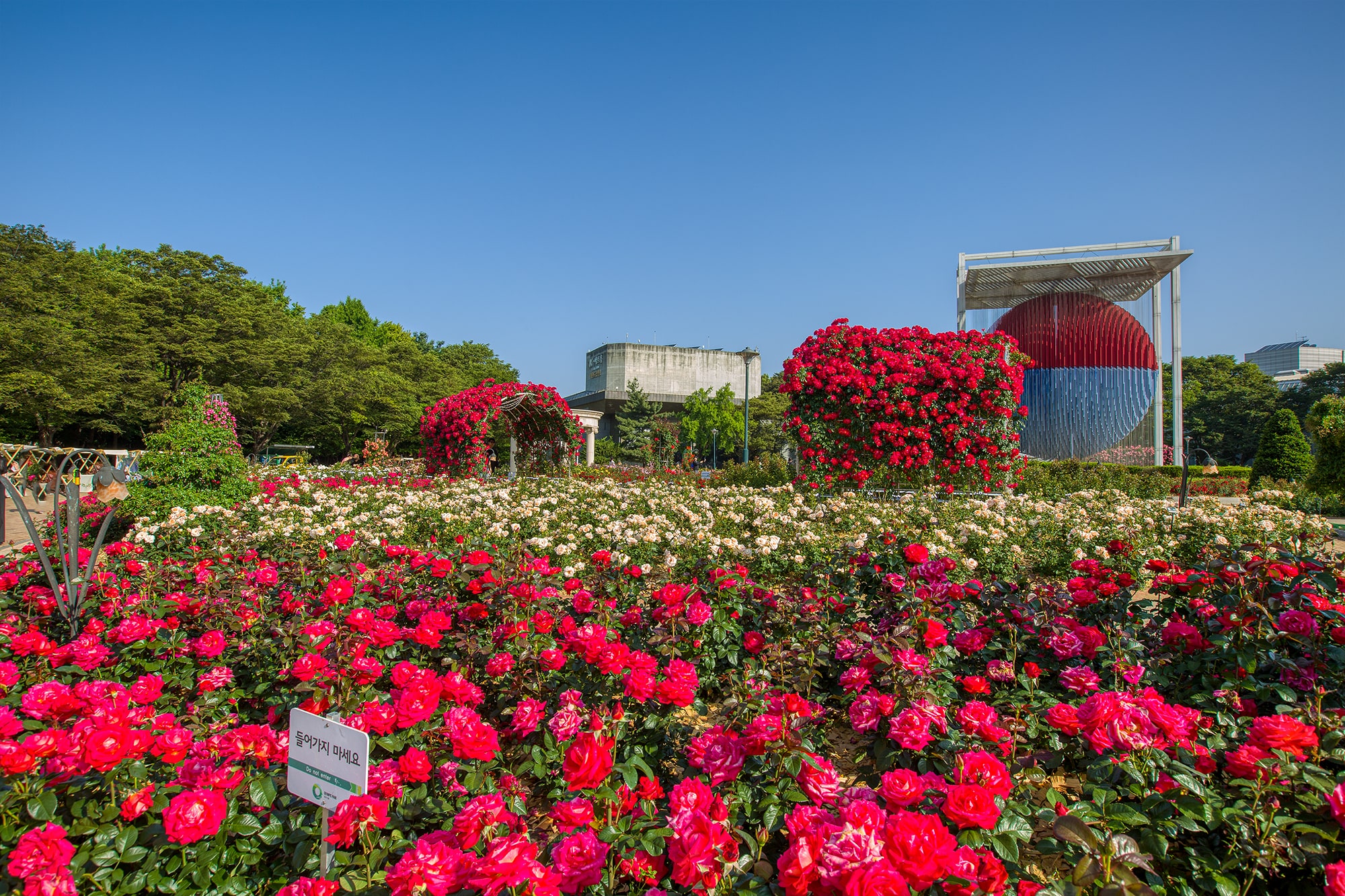 올림픽공원 장미축제