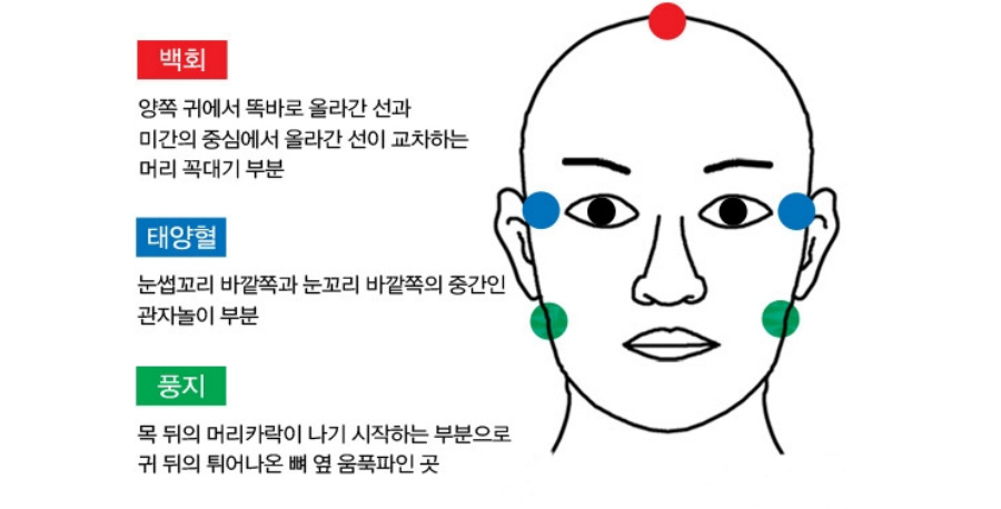 인체의 365혈 중에 백회와 태양, 풍지혈의 위치를 글과 그림으로 설명을 해주고 있는 이미지 사진