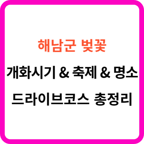 해남 벚꽃 개화시기 축제 명소 드라이브 코스 썸네일