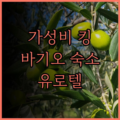 유로텔 바기오, 가성비 최고! 바기오