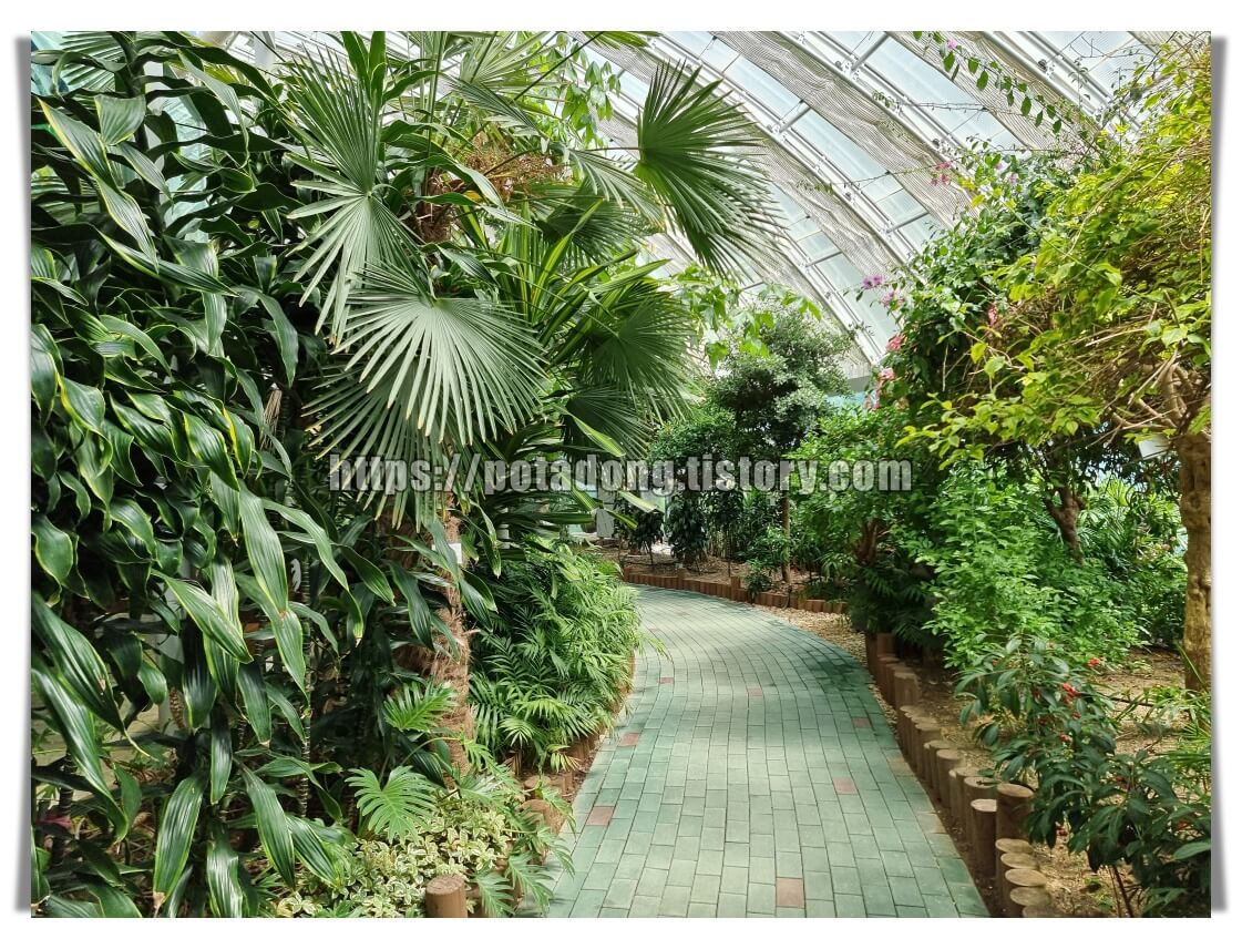 동천자연식물원