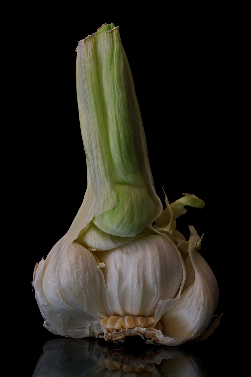 숨겨진 다이어트 보석, 마늘종! 효능부터 황금 레시피 5가지 알아보기