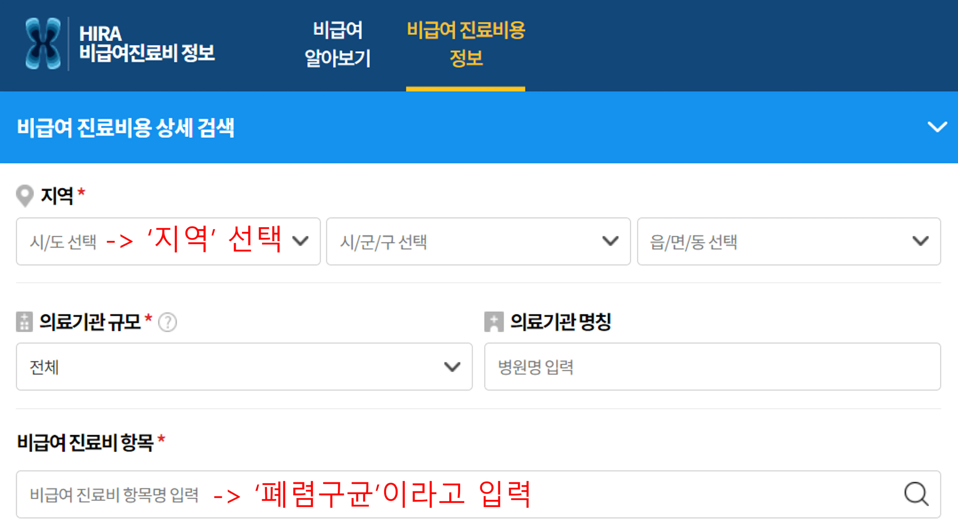 비급여진료비 정보