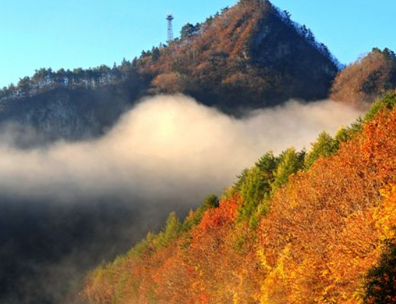 강원도 2025 단풍 산행 추천 코스 ❘ 설악산&middot;오대산&middot;치악산 절정 시기 안내