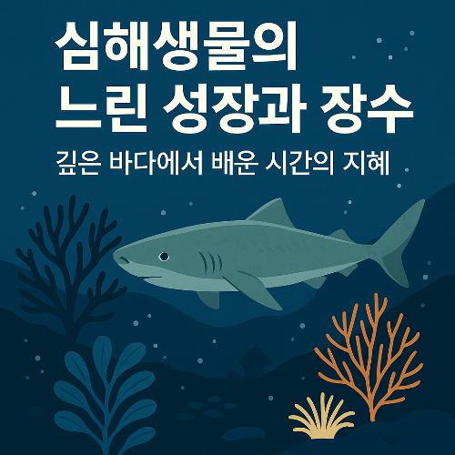 심해생물1