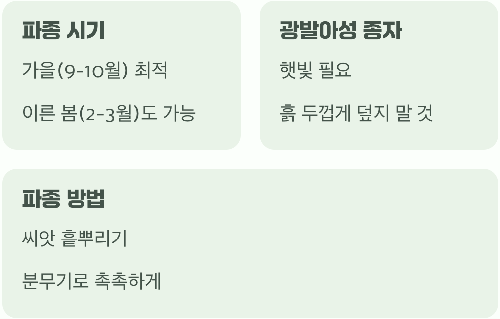 작은 씨앗, 위대한 시작 (파종 시기와 방법)