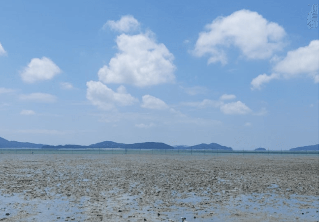 동막해변