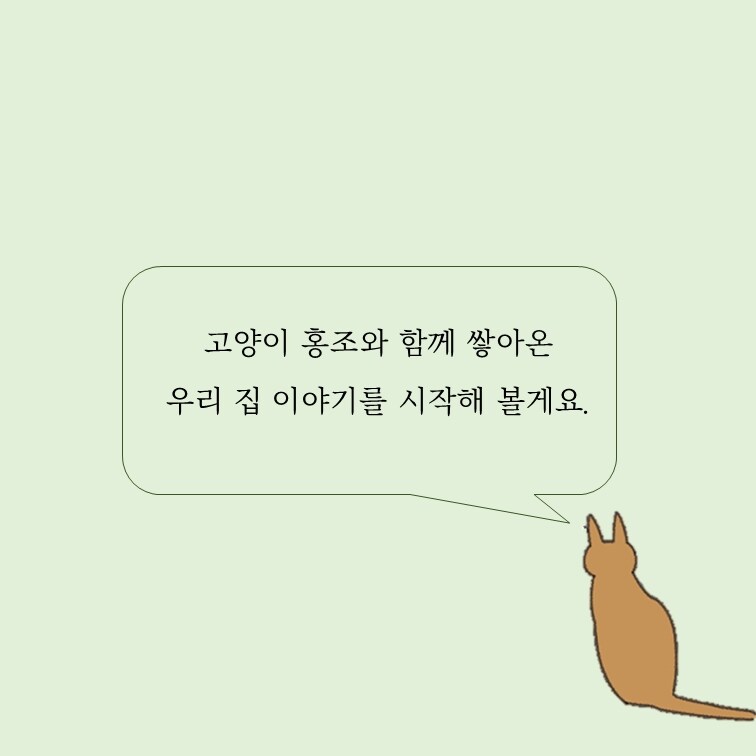 홍조 민정원 1인1묘살림일지