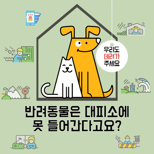 대피소반려동물
