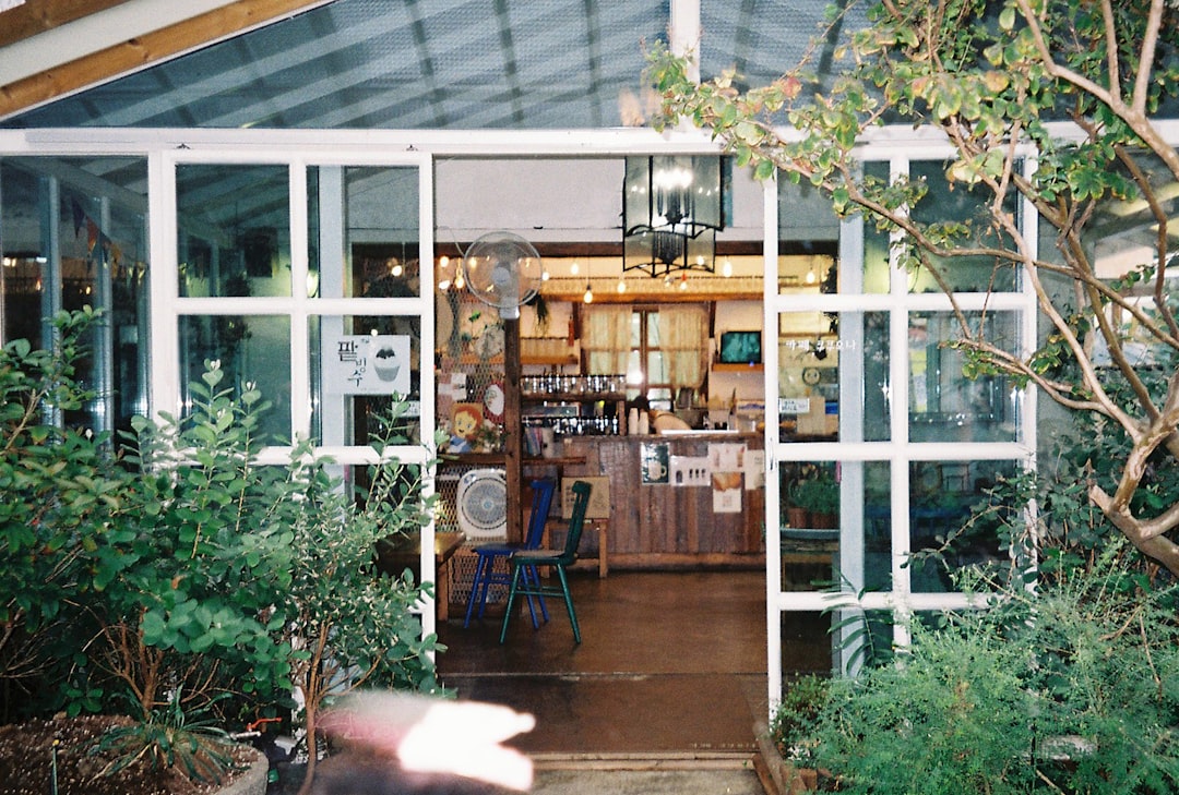 Paju