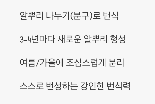 가족을 늘리는 가장 쉬운 방법