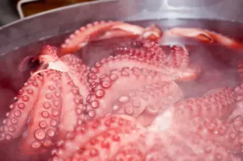 문어 가격 및 효능, 영양성분