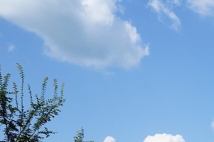 대입 수시 정시 일정